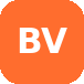 BloomValues Logo